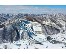 短道速滑运动员转弯时，为什么会用手摸地 蚂蚁