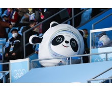 从福娃到冰墩墩 奥运吉祥物IP的立体之路跌宕起