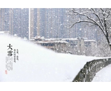 艳阳天里真的能“大雪纷飞”吗 蚂蚁庄园今日答