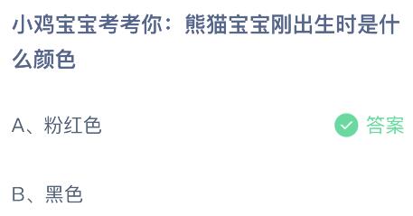 熊猫宝宝刚出生时是什么颜色？蚂蚁庄园今日答案最新6.14