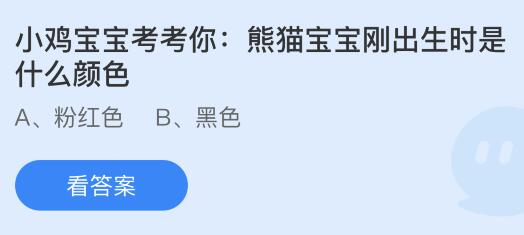熊猫宝宝刚出生时是什么颜色？蚂蚁庄园今日答案最新6.14