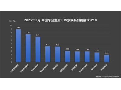 比亚迪宋家族2月销冠！海外销量猛增，新能源