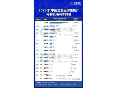 2025Q1中国车企毛利榜出炉：比亚迪领跑，小米赛