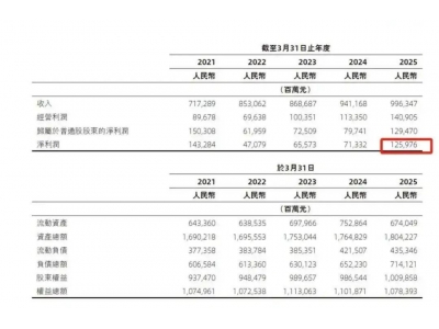 阿里年报亮点：菜鸟无人车引领物