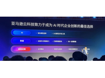 亚马逊云CEO详解：企业AI落地需先建