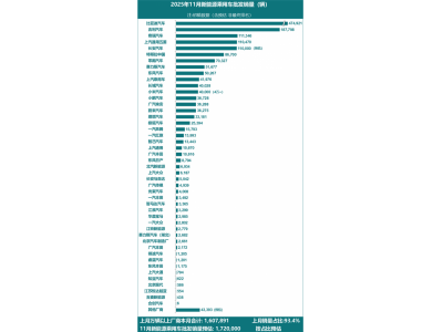 2025年11月新能源汽车厂商销量榜公