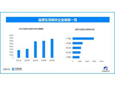年货经济：传统焕新与智能赋能下的消费重构