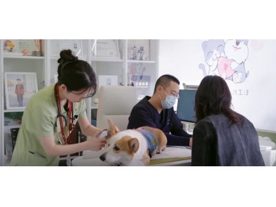 宠物“医保卡”来了!京东保创新推出新宠365天