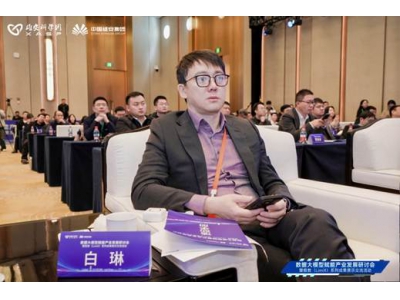 彩讯股份CEO白琳：企业级AI正从技术热潮走向系统