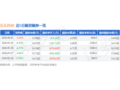 石头科技6月1日股价上涨5.31% 主力资金净流出超两