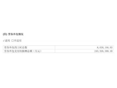 星宇股份再现重大财报失误：外包费用2.44万亿元