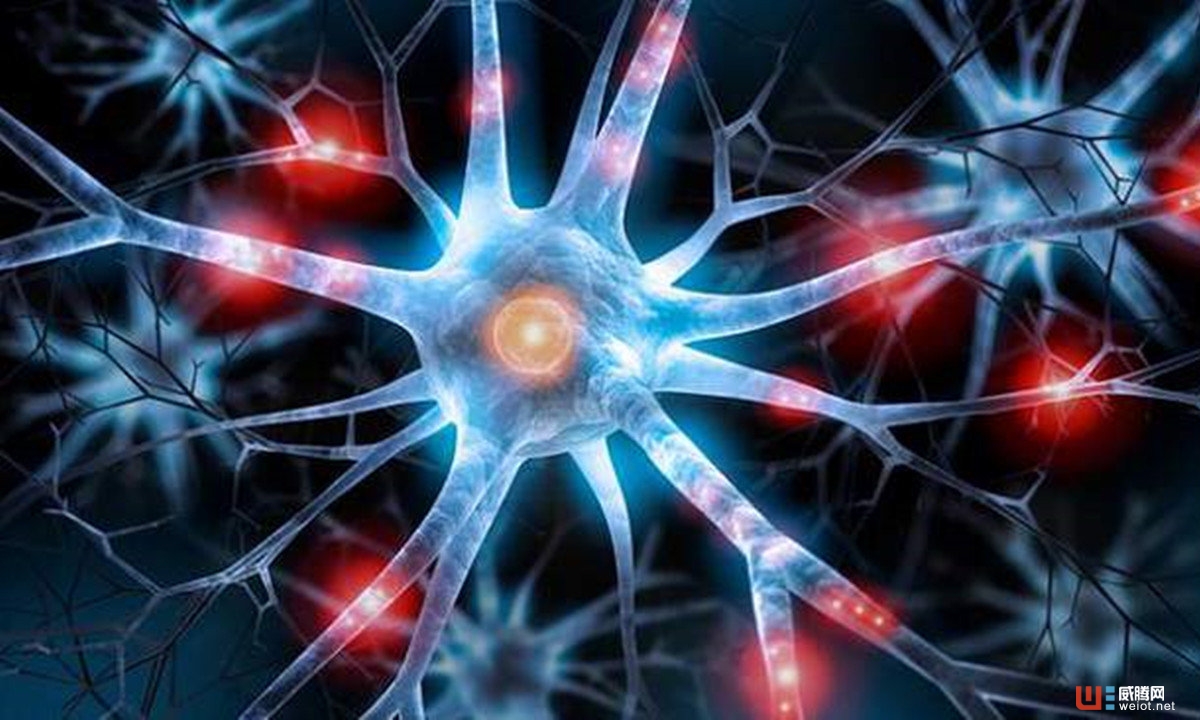 生命科学加速器Xontogeny获2500万美元A轮融资,重点关注医药领域 ...