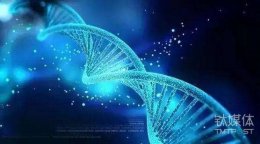 钛媒体Pro创投日报：6月15日收录投融资项目19起，