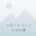 外媒:Uber特斯拉高层变革是凶兆 汽车革命或戛然而止