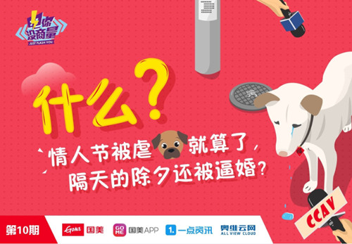国美妙计过双节 第十期家电趣榜解围单身狗困局